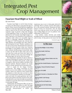 Integrated Pest & Crop Management Fusarium Head Blight or Scab of Wheat By Laura Sweets Fusarium head blight or scab of wheat develops