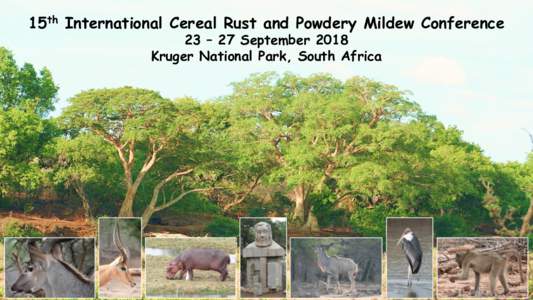 15th International Cereal Rust and Powdery Mildew Conference 23 – 27 September 2018 Kruger National Park, South Africa Expression of interest: Please e-mail 