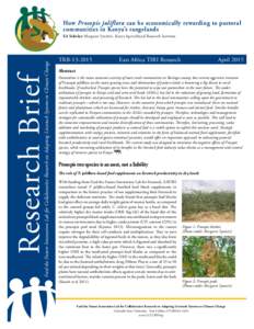 How Prosopis juliflora can be economically rewarding to pastoral communities in Kenya’s rangelands Research Brief  Feed the Future Innovation Lab for Collaborative Research on Adapting Livestock Systems to Climate Chan
