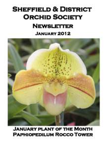 Sheffield & District Orchid Society Newsletter JanuaryJanuary plant of the Month
