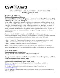 CSW  Alert! SPEAK OUT FOR SOCIAL JUSTICE  LOUISVILLE 2013
