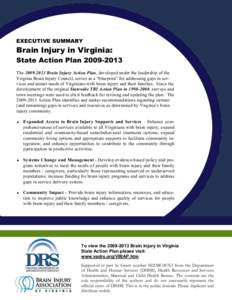 EXECUTIVE SUMMARY  Brain Injury in Virginia: State Action PlanTheBrain Injury Action Plan, developed under the leadership of the Virginia Brain Injury Council, serves as a “blueprint” for addres