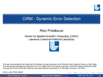 CIRM - Dynamic Error Detection