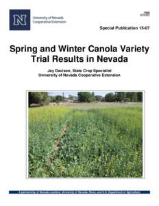 Spring and Winter Canola Variety Trial Results in Nevada