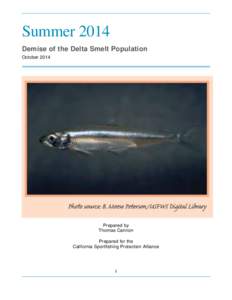 Summer 2014 Demise of the Delta Smelt Population October 2014 Prepared by Thomas Cannon