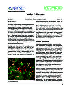 Wildlife Habitat Management Institute  Native Pollinators May 2005
