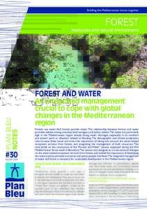 Building the Mediterranean future together  FOREST Resources and natural environment
