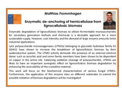 Matthias Frommhagen  Enzymatic de-anchoring of hemicellulose from lignocellulosic biomass Enzymatic degradation of lignocellulosic biomass to obtain fermentable monosaccharides for secondary generation biofuels and chemi
