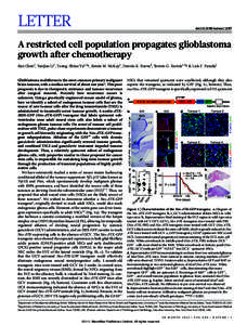 LETTER  doi:[removed]nature11287 A restricted cell population propagates glioblastoma growth after chemotherapy