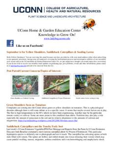 UConn Home & Garden Education Center Knowledge to Grow On! www.ladybug.uconn.edu Like us on Facebook! September is for Yellow Shoulders, Saddleback Caterpillars & Seeding Lawns
