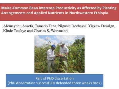 Improving productivity of maize-legume intercropping systems in maize based cropping system of North-western Ethiopia