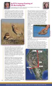 5g PTTs Improve Tracking of the Burrowing Owl Photo by Gordon Court  Satellite telemetry provides a window into tracking