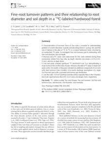 Research  Fine-root turnover patterns and their relationship to root diameter and soil depth in a 14C-labeled hardwood forest Blackwell Publishing Ltd