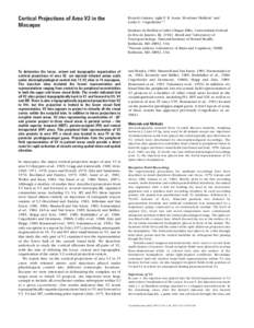 Cortical Projections of Area V2 in the Macaque Ricardo Gattass, Aglai P. B. Sousa, Mortimer Mishkin1 and Leslie G. Ungerleider1,2 Instituto de Biofísica Carlos Chagas Filho, Universidade Federal
