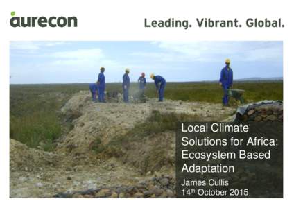 Local Climate Solutions for Africa: Ecosystem Based Adaptation James Cullis 14th October 2015