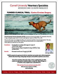 FUNDED CLINICAL TRIAL: Canine Cruciate Surgery  Cornell University Veterinary Specialists (CUVS) is proud to announce the initiation of a prospective clinical trial in dogs undergoing surgical repair of cranial cruciate 