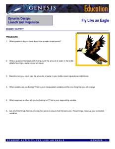 Dynamic Design:  Launch and Propulsion Fly Like an Eagle