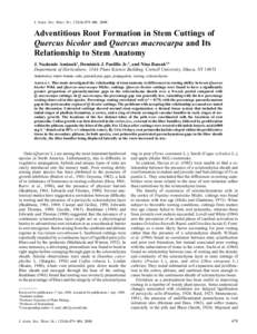 J. AMER. SOC. HORT. SCI[removed]):479–[removed]Adventitious Root Formation in Stem Cuttings of Quercus bicolor and Quercus macrocarpa and Its Relationship to Stem Anatomy J. Naalamle Amissah1, Dominick J. Paolillo Jr.