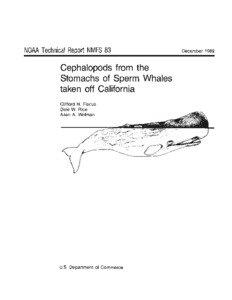 NOAA Technical Report NMFS 83  Cephalopods from the