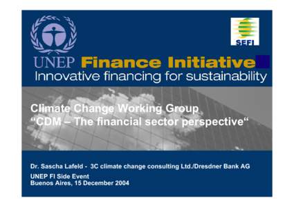 …  Climate Change Working Group “CDM – The financial sector perspective“  Dr. Sascha Lafeld - 3C climate change consulting Ltd./Dresdner Bank AG