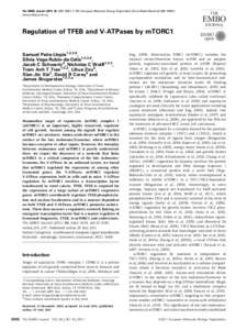 Microsoft PowerPoint - V-ATPase Paper Figs EMBO 9 (Illumina).pptx