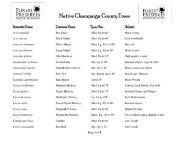 Native Champaign County Trees