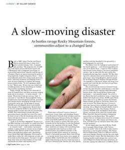 currENt | by HiLL Ary roSNEr  A slow-moving disaster As beetles ravage Rocky Mountain forests, communities adjust to a changed land