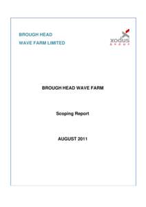 BROUGH HEAD WAVE FARM LIMITED BROUGH HEAD WAVE FARM  Scoping Report