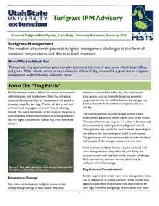 Turfgrass IPM Advisory Seasonal Turfgrass Pest Update, Utah State University Extension, Summer 2013 Turfgrass Management  The weather of summer presents turfgrass management challenges in the form of