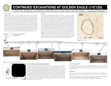 CONTINUED EXCAVATIONS AT GOLDEN EAGLE (11C120) Grace M.V. Ward1, Rechanda Lee2, April Rothenbach1, Amanda Wissler3, Taylor H. Thornton4, Jason L. King1, Jane E. Buikstra3 SITE HISTORY RESULTS
