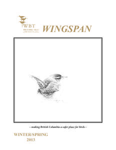 WINGSPAN  - making British Columbia a safer place for birds - WINTER/SPRING 2013