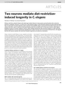 Vol 447 | 31 May 2007 | doi:nature05904  ARTICLES Two neurons mediate diet-restrictioninduced longevity in C. elegans Nicholas A. Bishop1 & Leonard Guarente1 Dietary restriction extends lifespan and retards age-r