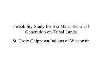 Feasibility Study for Bio Mass Electrical Generation on Tribal Lands St. Croix Chippewa Indians of Wisconsin
