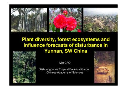 Plant diversity, forest ecosystems and influence forecasts of disturbance in Yunnan, SW China Min CAO Xishuangbanna Tropical Botanical Garden Chinese Academy of Sciences
