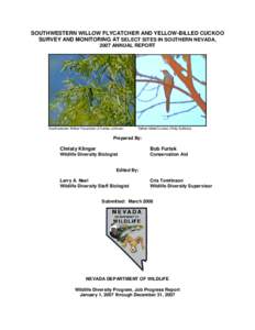 SOUTHWESTERN WILLOW FLYCATCHER AND YELLOW-BILLED CUCKOO SURVEY AND MONITORING AT SELECT SITES IN SOUTHERN NEVADA, 2007 ANNUAL REPORT Southwestern Willow Flycatcher (Charles Lohman)