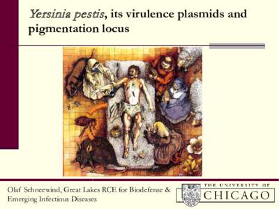 Yersinia pestis, its virulence plasmids and pigmentation locus