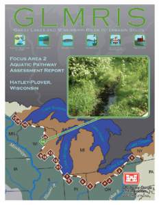 Executive Summary This assessment characterizes the probability of a viable aquatic pathway being able to form at the Hatley-Plover location along the Great Lakes and Mississippi River Basin watershed divide. The Hatle