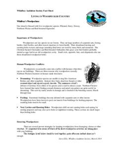Whidbey Audubon Society Fact Sheet  LIVING IN WOODPECKER COUNTRY Whidbey’s Woodpeckers: Our island is blessed with five woodpecker species: Pileated, Hairy, Downy, Northern Flicker and Red-breasted Sapsucker.