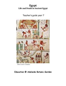 Microsoft Word - Egypt Teacher Guide.docx