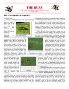 THE BUZZ UC Riverside, Department of Entomology Newsletter Spring 2002 APPLIED BIOLOGICAL CONTROL By Mark S. Hoddle