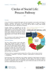 Guideline 1.1. Process Pathway  Circles of Social Life: Process Pathway v3.21