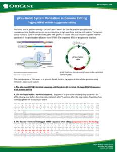 pCas-Guide System Validation in Genome Editing Tagging HSP60 with HA tag genome editing The latest tool in genome editing – CRISPR/Cas9 – allows for specific genome disruption and replacement in a flexible and simple