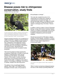 Disease poses risk to chimpanzee conservation, study finds