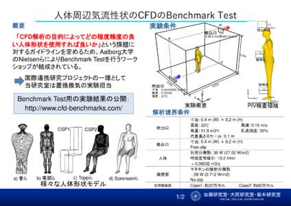 人体周辺気流性状のCFDのBenchmark Test