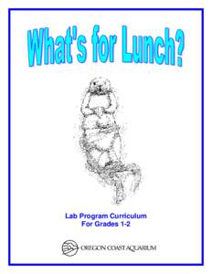 Lab Program Curriculum For Grades 1-2 2  Program Description