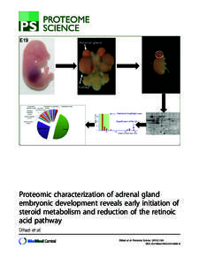 Proteomic characterization of adrenal gland embryonic development reveals early initiation of steroid metabolism and reduction of the retinoic acid pathway
