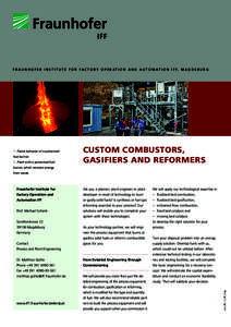 Custom Combustors, Gasifiers and Reformers, Fraunhofer IFF Magdeburg Project Information