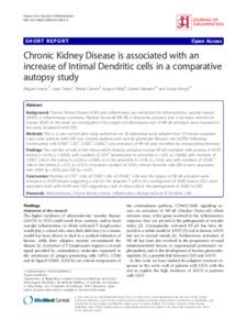 Chronic Kidney Disease is associated with an increase of Intimal Dendritic cells in a comparative autopsy study