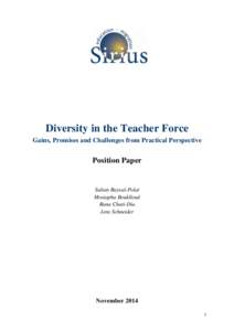 Diversity in the Teacher Force Gains, Promises and Challenges from Practical Perspective Position Paper  Sultan Baysal-Polat