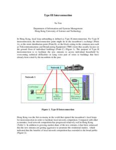 Type III Interconnection Xu Yan Department of Information and Systems Management Hong Kong University of Science and Technology  In Hong Kong, local loop unbundling is defined as Type II interconnection. For Type II